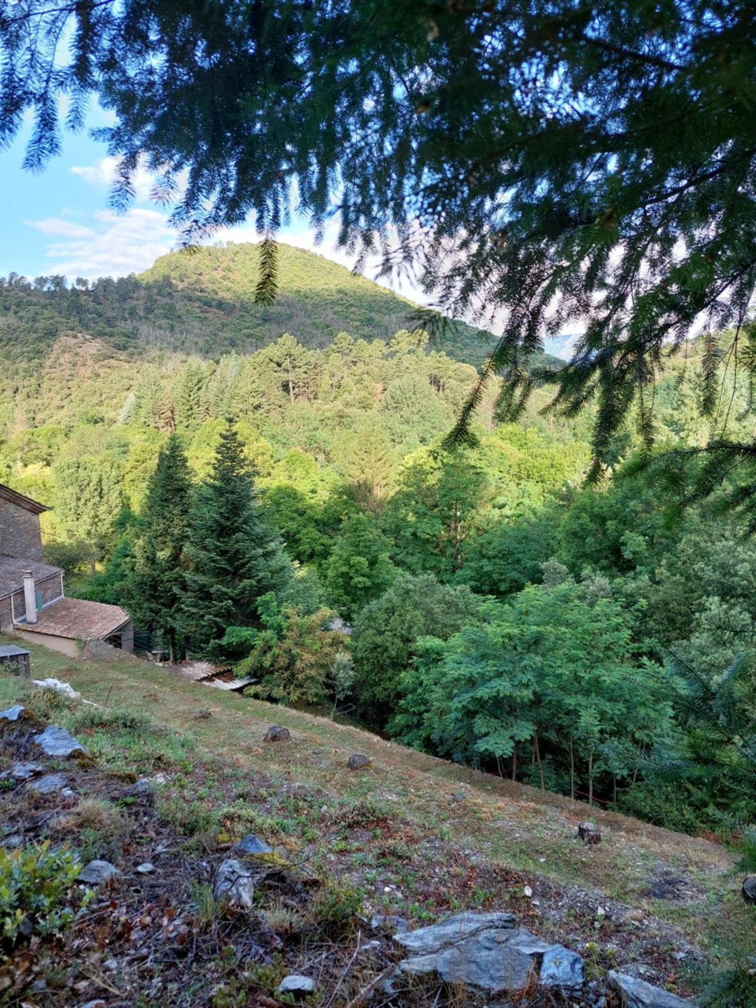 Gite Et Jardin En Bord De Riviere Saumane Exterior foto